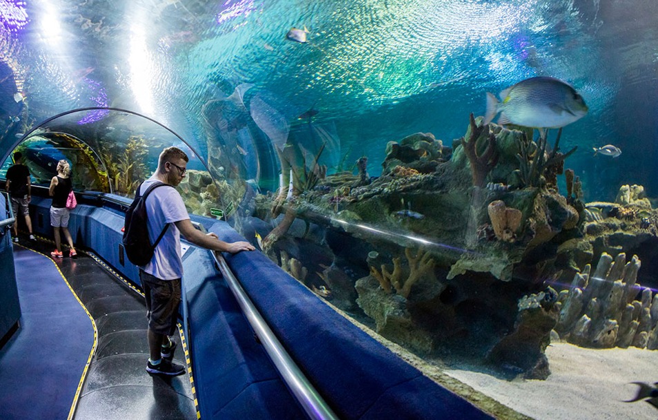 Hurghada-Aquarium