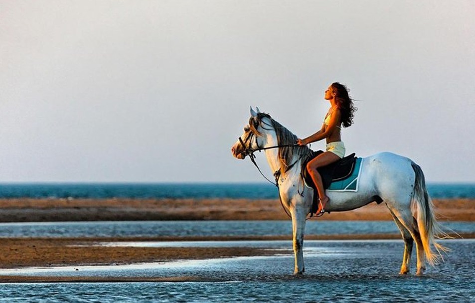 Hurghada Horse Riding
