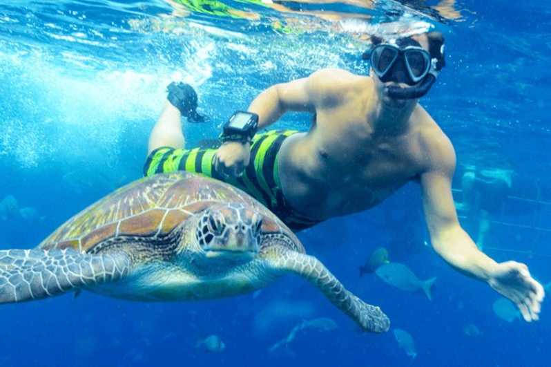 Turtles Excursion — photo 6