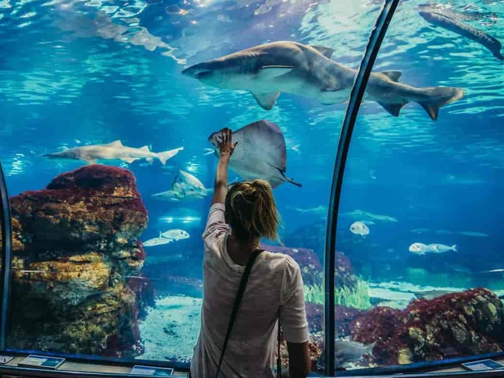 Hurghada Aquarium — photo 6