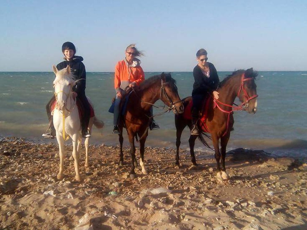 Hurghada Horse Riding — photo 2