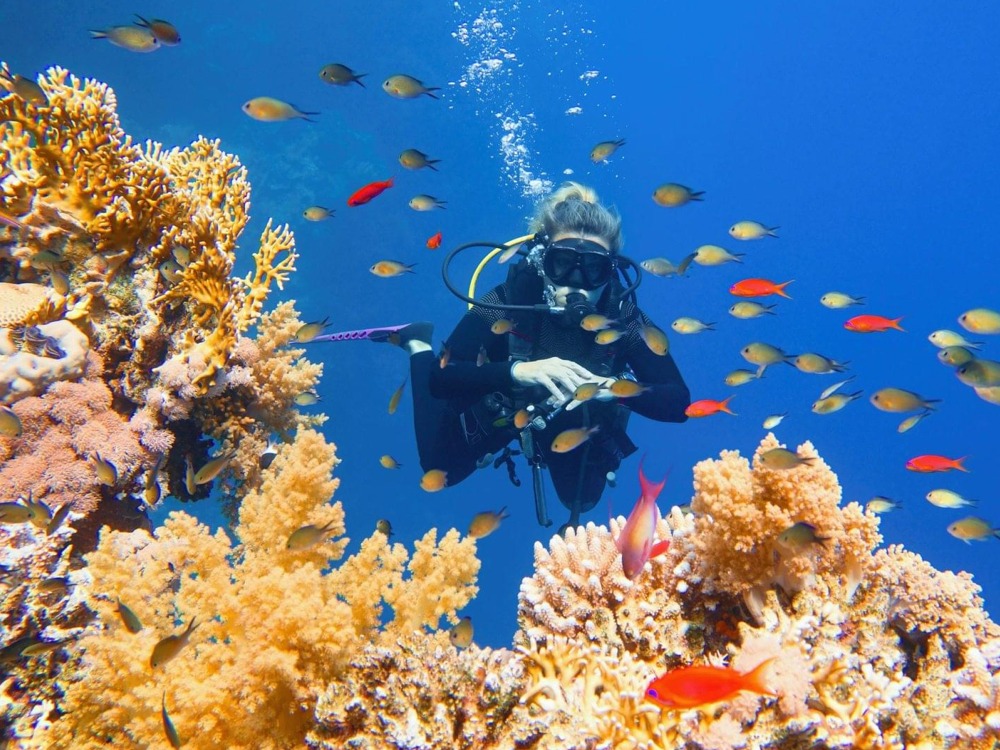 Diving — photo 2