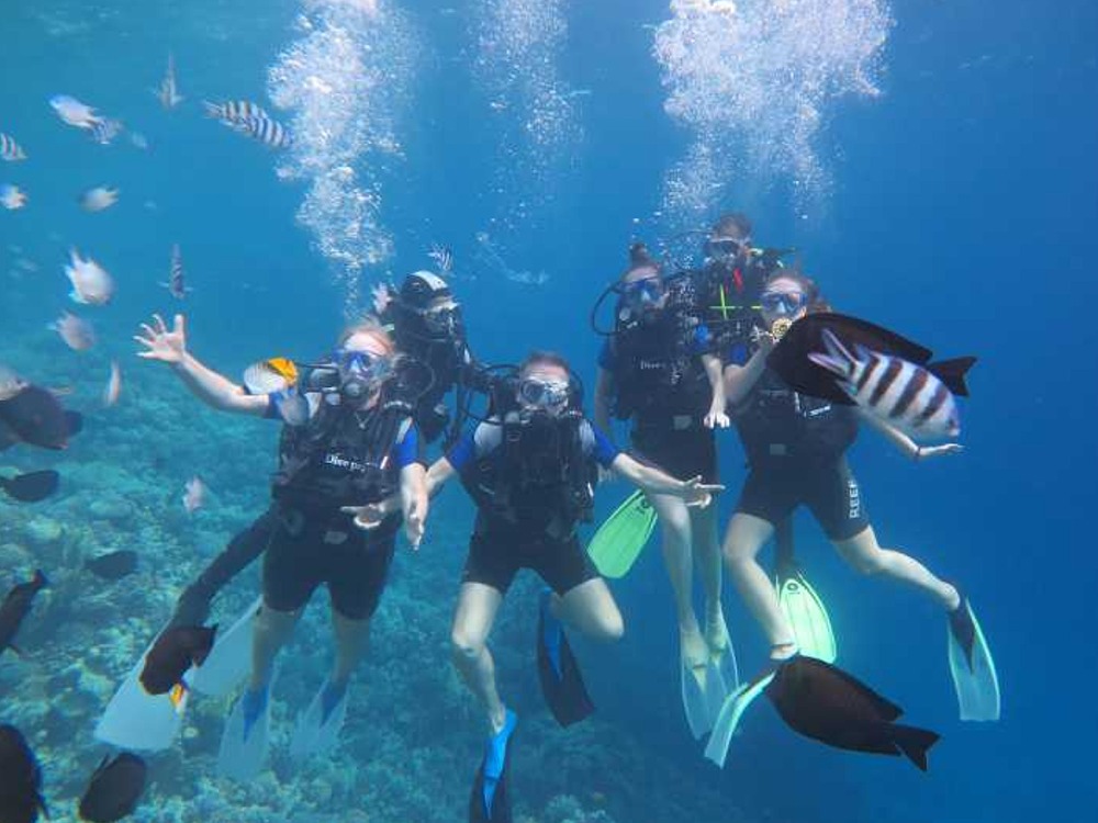 Diving — photo 4